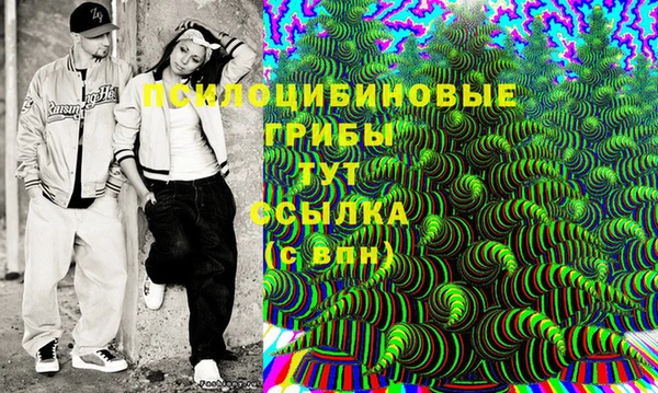 крисы Горняк